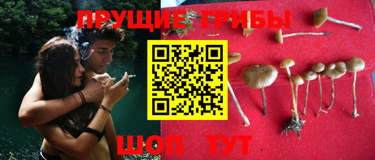 Железногорск  Галлюциногенные грибы MAGIC MUSHROOMS  Вход с VPN 